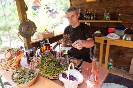 Herbalist gardener  small business owner picking gathering fresh herbs for alternative medicine tea and potting on balanceの写真素材