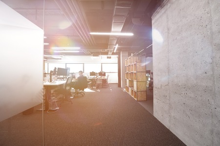 software developers working everyday job writing programming code at modern sunny bright open plan officeの写真素材