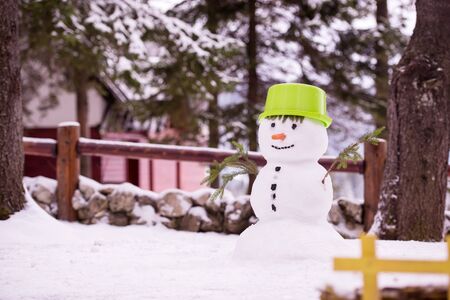 Happy smiling snowman with green hat and carrot nose standing in winter forestの写真素材