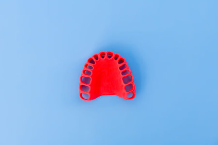 human gums without teeth model medical illustration isolated on blue background. Healthy teeth,...