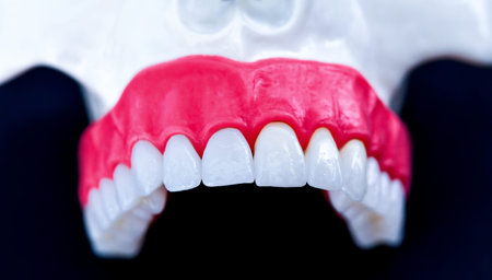 Upper human jaw with teeth and gums anatomy model medical illustration isolated on blue background....
