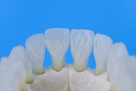 Lower human jaw with teeth anatomy model medical illustration isolated on blue background. Healthy...