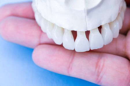 man hand holding a upper human jaw with teeth anatomy model medical illustration isolated on blue background. Healthy teeth, dental care and orthodontic conceptの写真素材