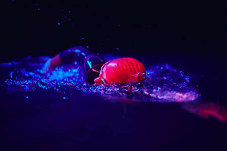 real triathlon athlete swimming in dark nightの写真素材