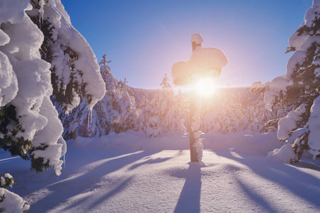 wooden cross covered with fresh snow at beautiful fresh winter morningの写真素材