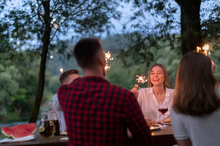 french dinner party on summerの写真素材