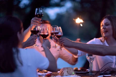 french dinner party on summerの写真素材