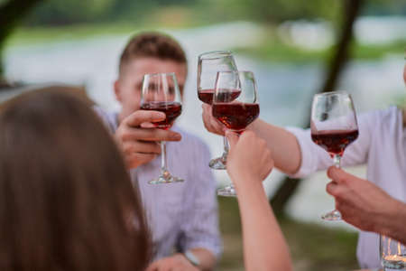 friends toasting red wine glass while having picnic french dinner partyの写真素材