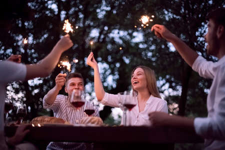 french dinner party on summerの写真素材