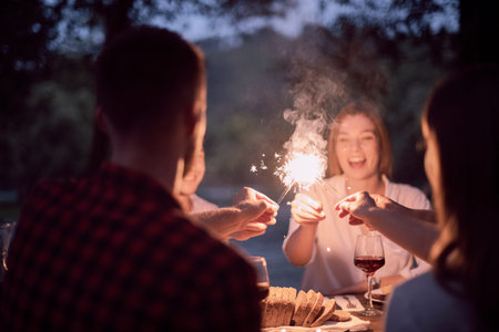 french dinner party on summerの写真素材