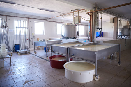 Cheese factory production shelves with aging old cheese