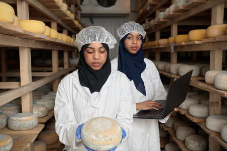 business woman team in local cheese production companyの写真素材