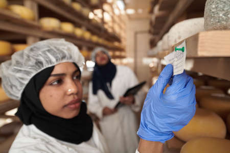 business woman team in local cheese production companyの写真素材