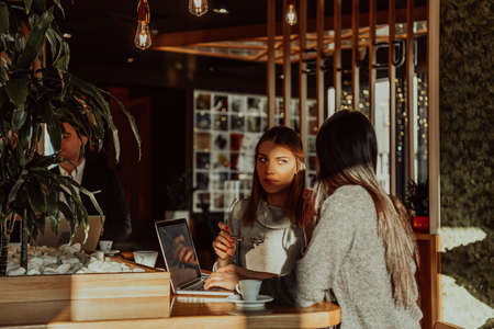 two young business women sitting at table in cafe. Girl shows colleague information on laptop screen. Girl using smartphone, blogging. Teamwork, business meeting..の写真素材