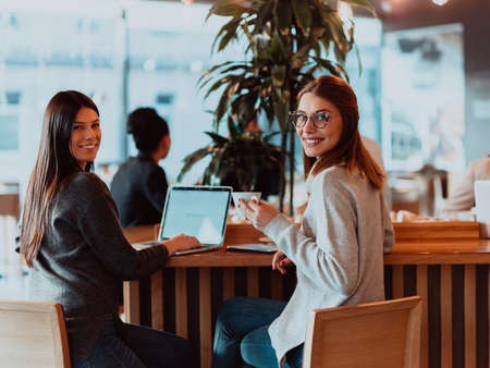 two young business women sitting at table in cafe. Girl shows colleague information on laptop screen. Girl using smartphone, blogging. Teamwork, business meeting..の写真素材