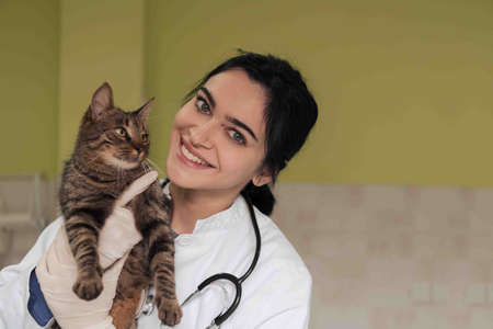 Veterinary clinic. Female doctor portrait at the animal hospital holding cute sick catの写真素材