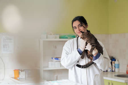 Veterinary clinic. Female doctor portrait at the animal hospital holding cute sick catの写真素材