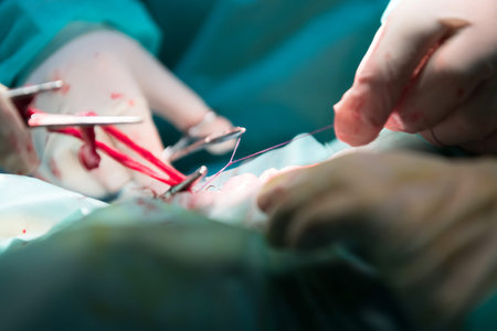 A surgeon and veterinarians team performing castration or sterilization operation on a cat in an...