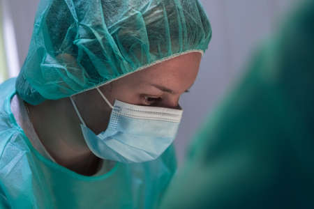 Real abdominal surgery on a cat in a hospital settingの写真素材