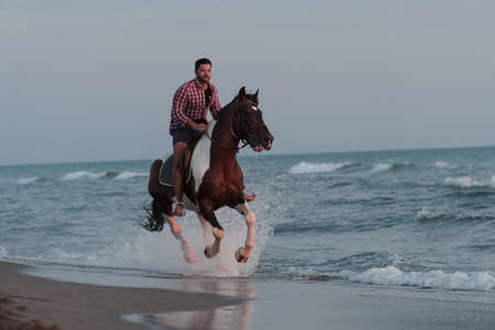 A modern man in summer clothes enjoys riding a horse on a beautiful sandy beach at sunset. Selective focusの写真素材