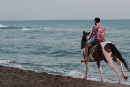 A modern man in summer clothes enjoys riding a horse on a beautiful sandy beach at sunset. Selective focusの写真素材