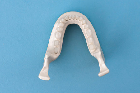 Lower human jaw with teeth anatomy model isolated on blue background. Healthy teeth, dental care and...
