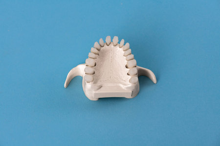Upper human jaw with teeth anatomy model isolated on blue background. Healthy teeth, dental care and...
