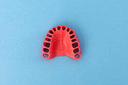 human gums without teeth model medical implant isolated on blue background. Healthy teeth, dental...