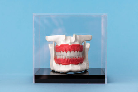 Human jaw with teeth implants anatomy model isolated on blue background in a glass box.