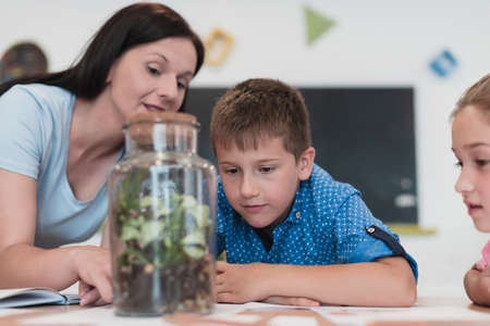 Female Teacher with kids in biology class at elementary school conducting biology or botanical scientific experiment about sustainable Growing plants. Learning about plants in a glass jarの写真素材