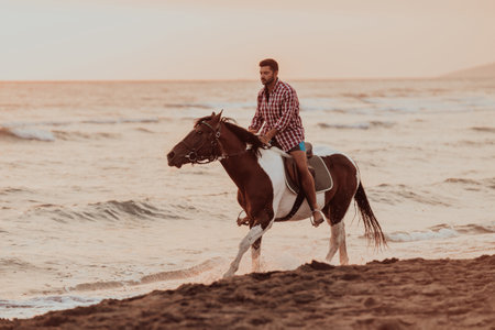 A modern man in summer clothes enjoys riding a horse on a beautiful sandy beach at sunset. Selective focusの写真素材