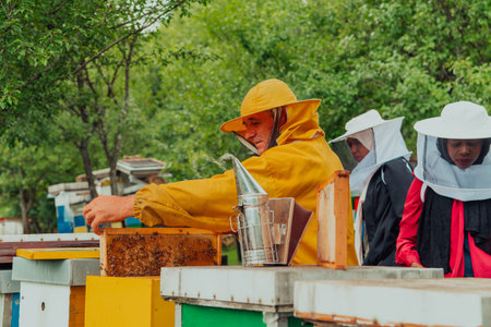 Business partners with an experienced senior beekeeper checking the quality and production of honey at a large bee farmの写真素材