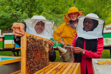 Business partners with an experienced senior beekeeper checking the quality and production of honey at a large bee farmの写真素材