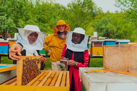 Business partners with an experienced senior beekeeper checking the quality and production of honey at a large bee farmの写真素材
