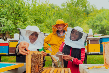 Business partners with an experienced senior beekeeper checking the quality and production of honey at a large bee farmの写真素材