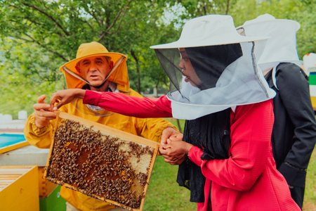 Business partners with an experienced senior beekeeper checking the quality and production of honey at a large bee farmの写真素材
