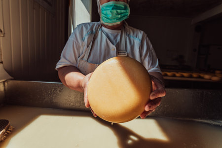 A woman in the cheese industry. Woman preparing cheese for further processing process in the modern cheese industryの写真素材
