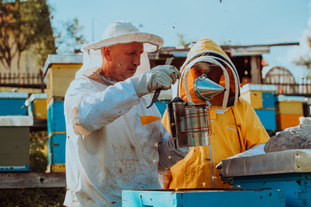 Beekeepers checking honey on the beehive frame in the field. Small business owners on apiary. Natural healthy food produceris working with bees and beehives on the apiary.の写真素材