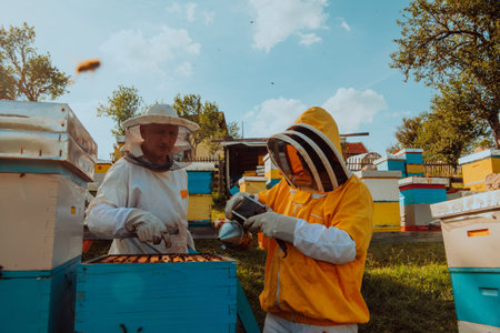 Beekeepers checking honey on the beehive frame in the field. Small business owners on apiary. Natural healthy food produceris working with bees and beehives on the apiary.の写真素材