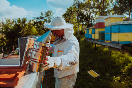 The beekeeper using smoke to calm the bees and begins to inspect the honeyの写真素材