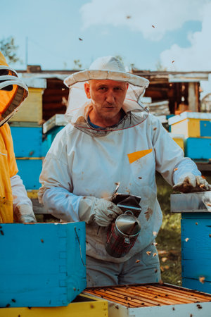 Beekeepers checking honey on the beehive frame in the field. Small business owners on apiary. Natural healthy food produceris working with bees and beehives on the apiary.の写真素材