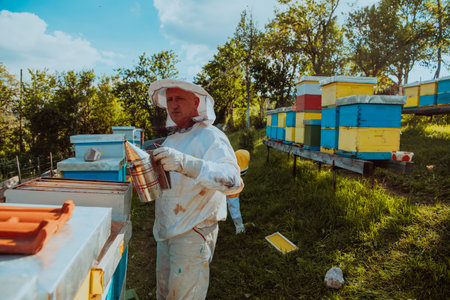 Beekeepers check the honey on the hive frame in the field. Beekeepers check honey quality and honey parasites. A beekeeper works with bees and beehives in an apiary.の写真素材