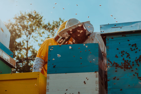 Beekeepers checking honey on the beehive frame in the field. Small business owners on apiary....