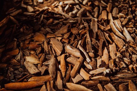 Macedonian folklore, brown sandals. Old shoes. Part of the tradition. Black pants, close upの写真素材