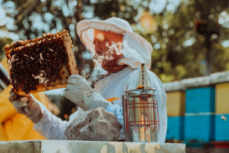 Beekeeper checking honey on the beehive frame in the field. Beekeeper on apiary. Beekeeper is working with bees and beehives on the apiary.の写真素材
