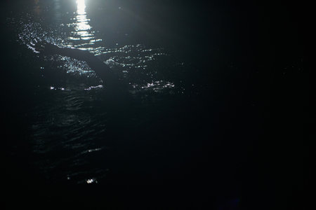 A determined professional triathlete undergoes rigorous night time training in cold waters, showcasing dedication and resilience in preparation for an upcoming triathlon swim competitionの写真素材