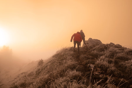 trail running couple man and woman running on a mountain pathの写真素材