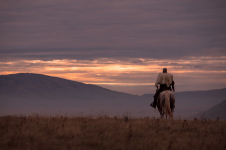 A majestic Viking chieftain on a dappled grey horse, clad in a fur cloak, surveys a desolate, mountainous landscape under a dramatic cloudy sky, exuding power and presence.の写真素材