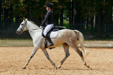 Equestrian sport, horse and rider in dressage competition, woman riding horse in outdoor arena,...