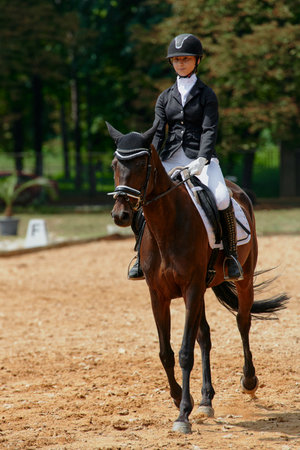 Equestrian sport, horse and rider in dressage competition, woman riding horse in outdoor arena, training and performance, equine event, sunny day, natural light, action shot.の写真素材